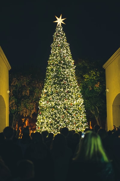 人们在夜间看点燃绿色圣诞树
